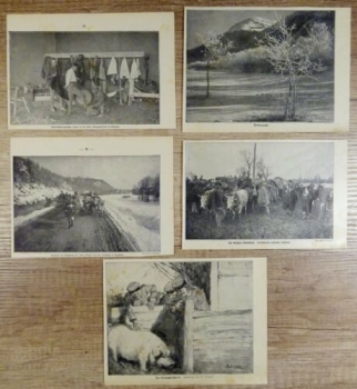 1917 - alter Druck - 5 Bilder aus Rumänien